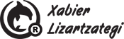 lizar logo Lizartzategi